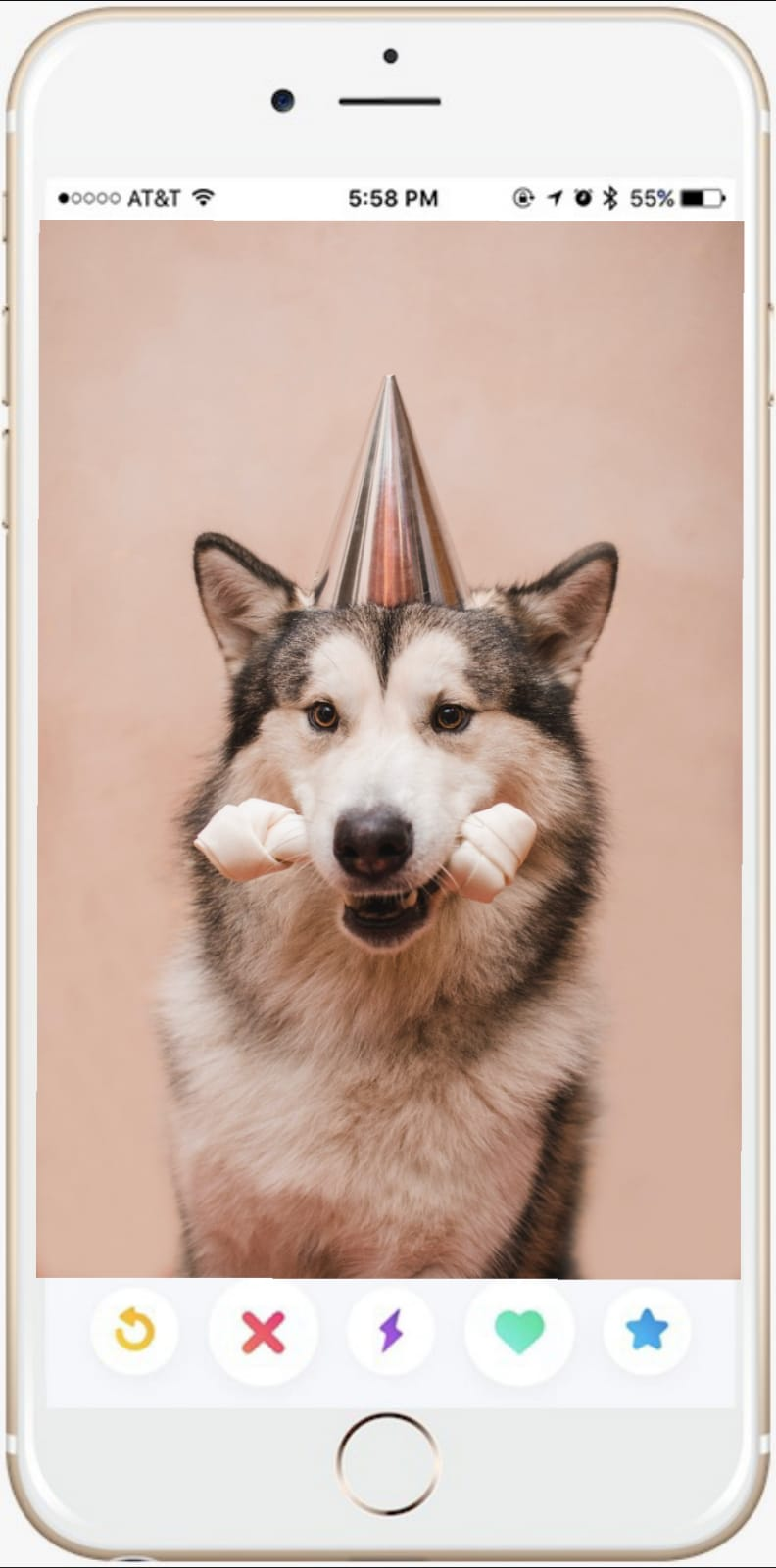 dog-mockup